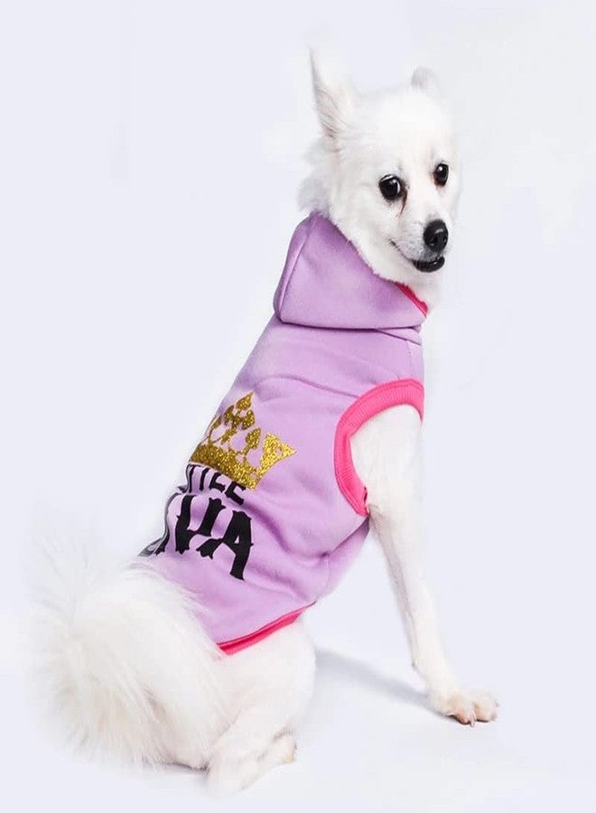 PETANGEL Polycotton Fleece Small Dog Hoodie | Spring and Autumn Casual Little Diva Hoodie for Small Dogs, Puppies Cats, Girl Dog Clothes Sweater Winter Sweatshirt Cotton Hoodie (Size: L) - Image 2